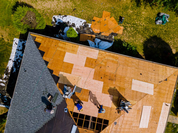 Best Best Roofing Contractors  in Marienville, PA