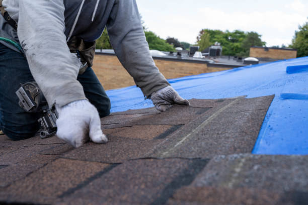 Residential Roof Replacement in Marienville, PA